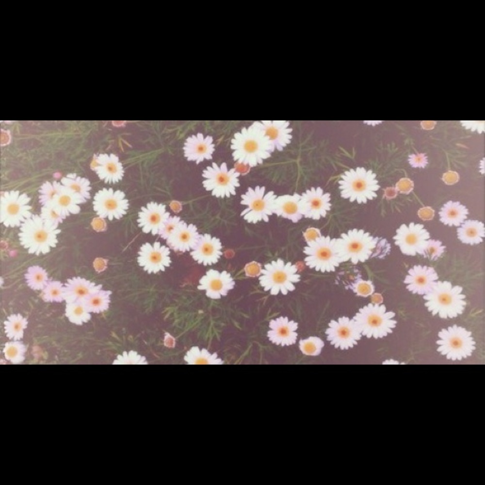 Meet your Posher, Valerie